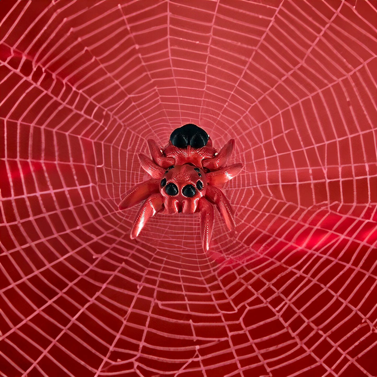 Heart Spider