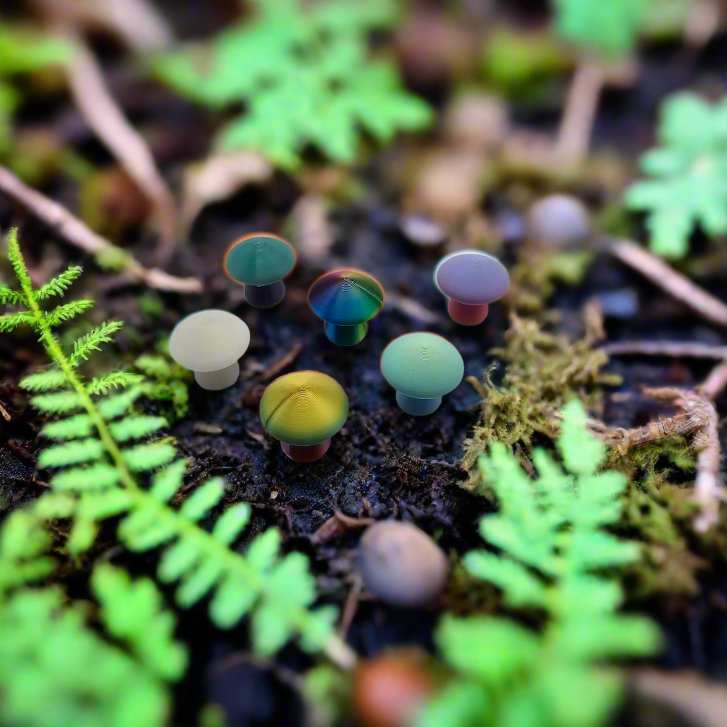 10 Tiny Mushrooms